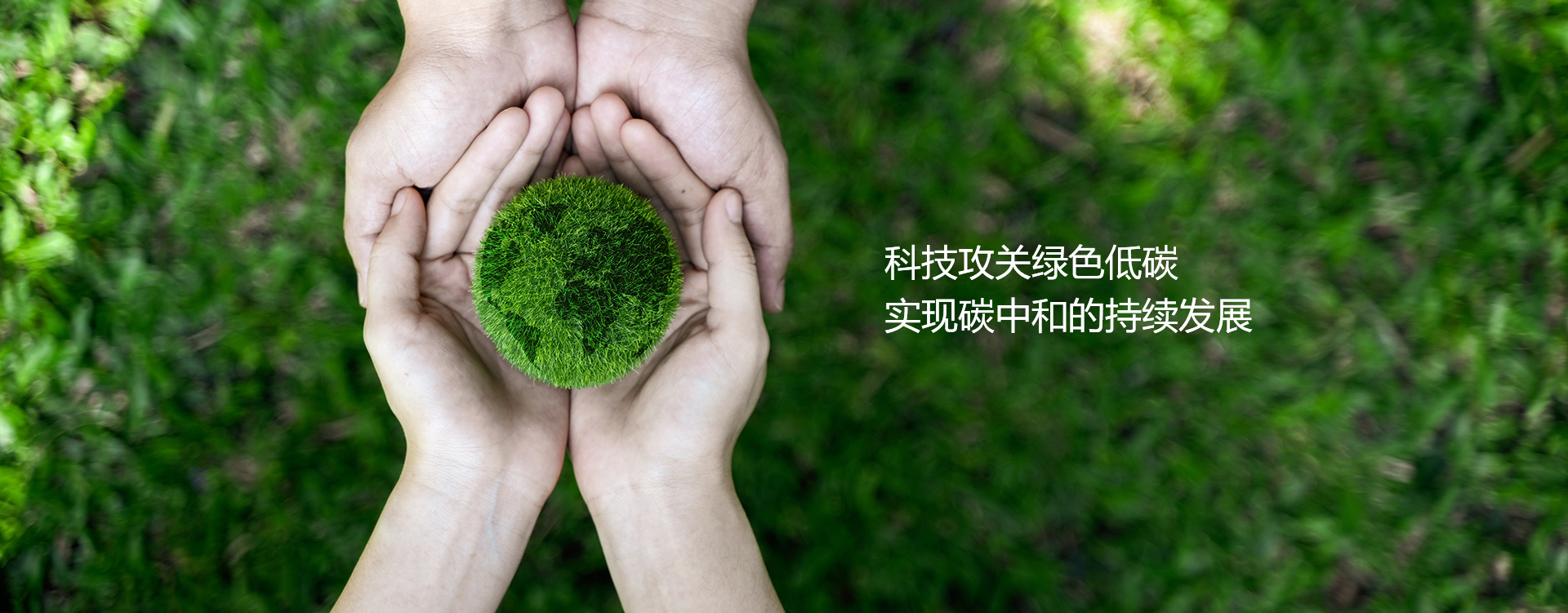 中国竞猜网

