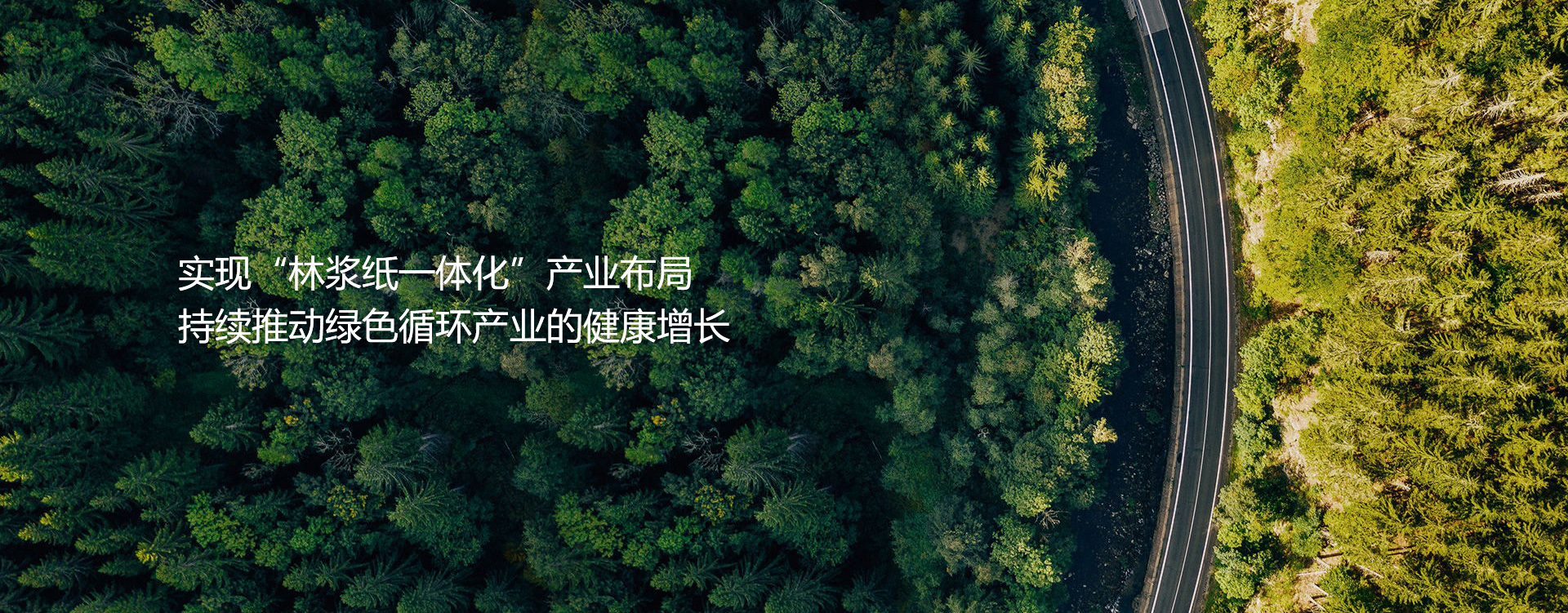 中国竞猜网


